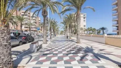 Apartment in Los Arenales del Sol photo 41