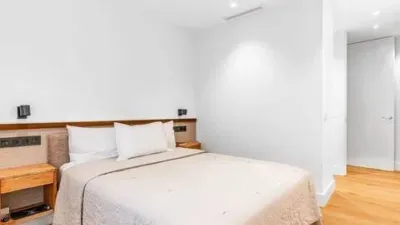 Apartment in Recoletos photo 30