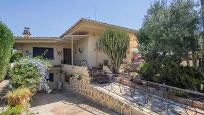 Casa – Elx - Elche - Vista 5