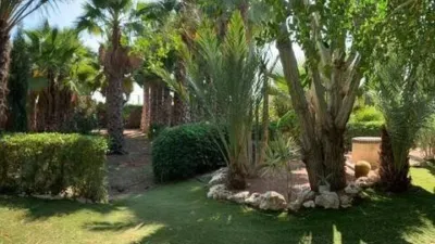 Chalet in Torrellano-Valverde-Parc Empresarial photo 10