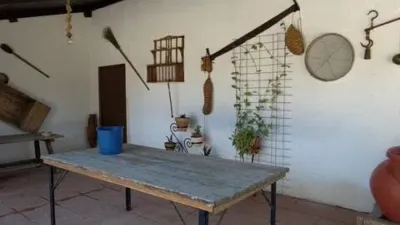 Chalet in Alcantarilla photo 3