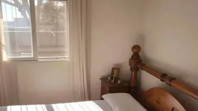 Chalet in Alcantarilla photo 10