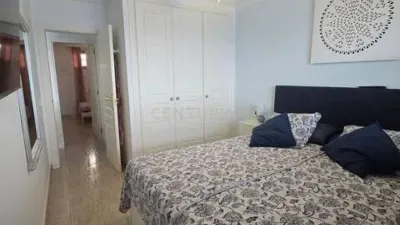 Apartment in Urbanización Llanos Del Poris photo 11