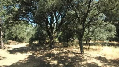 Chalet in Villalba Pueblo photo 18