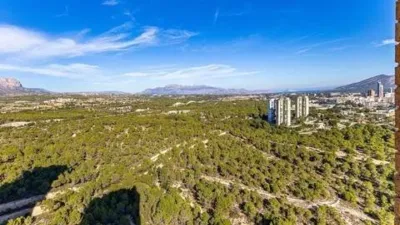 Pis – Benidorm - Vista 3
