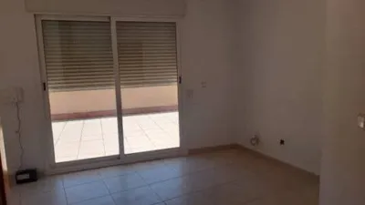 Duplex Penthouse in San Benito-Progreso photo 19