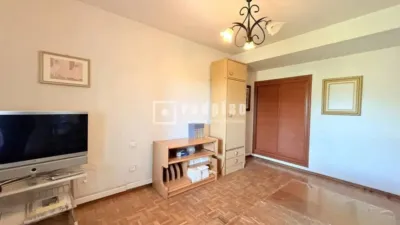 Apartment in Pradolongo photo 4