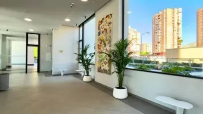 Apartment on Avinguda de Benissa photo 18