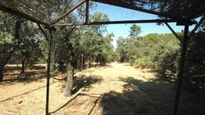 Chalet in Villalba Pueblo photo 6