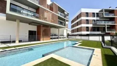 Apartment in Sant Joan d'Alacant photo 14