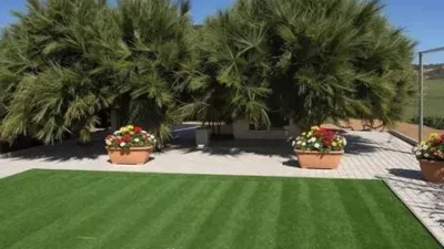Chalet in Alcantarilla photo 8