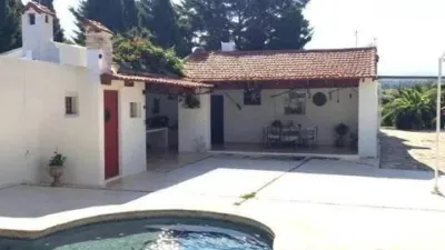 Chalet in Alcantarilla photo 20