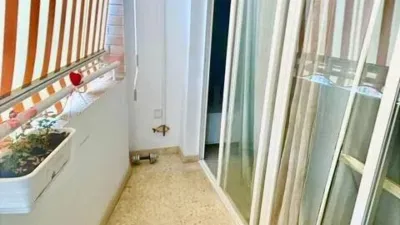 Apartment in Platja de Ponent photo 14