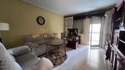 Apartment in Oeste-Nuevo Oeste photo 2