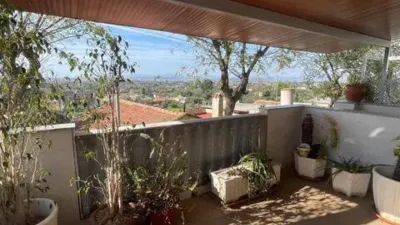 Chalet in Algezares photo 17