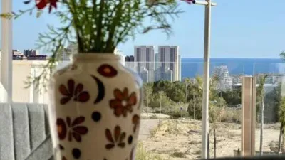 Penthouse at Calle de Peru, 44 photo 31