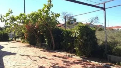 Chalet in Alcantarilla photo 21
