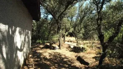 Chalet in Villalba Pueblo photo 11