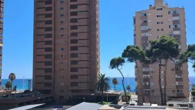 Apartment on Avenida del Mediterráneo photo 6