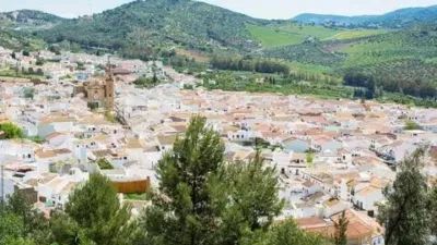 Apartment in Algodonales photo 19