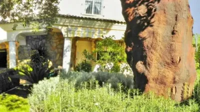 Chalet in Cáceres Capital photo 15