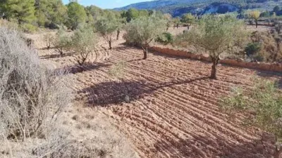 Terreno en venta en Tibi - Vista 2