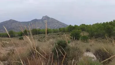 Terreno en venta en Agost - Más