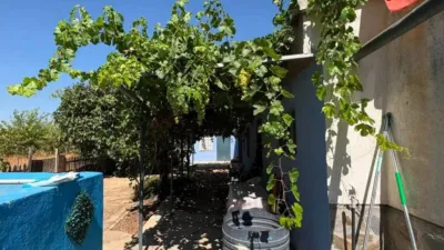 Chalet in Albacete Capital photo 24