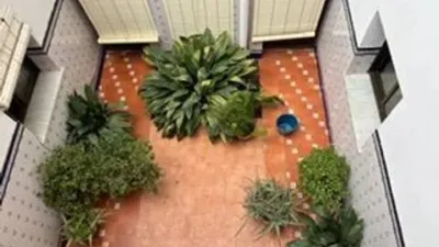 Terraced House in Anna photo 13