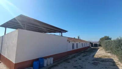 Chalet in Murcia Capital photo 34
