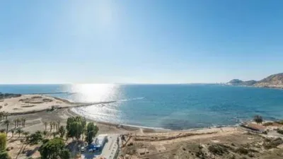 Duplex Penthouse in Cabo de la Huerta photo 47