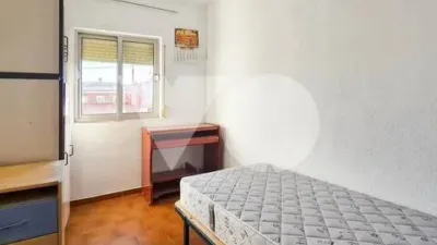 Apartment in Buenavista photo 9