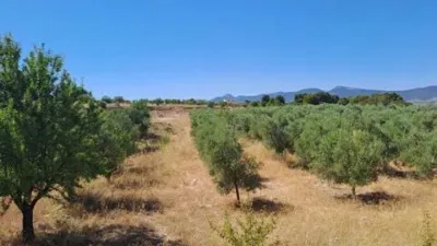 Terreno en venta en Onil - Vista 4