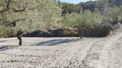 Rustic House in Tibi photo 112