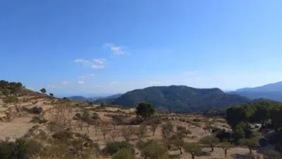 Terreno en venta en Tibi - Vista 4