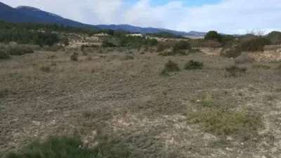 Terreno en venta en Tibi - Vista 5