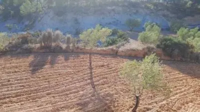 Terreno en venta en Tibi - Más