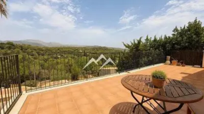 Rustic house in Campanet photo 21
