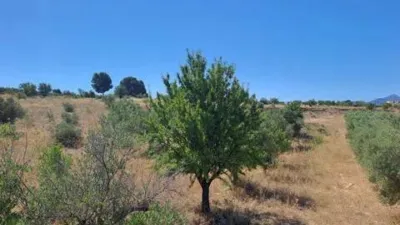 Terreno en venta en Onil - Vista 5
