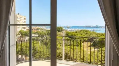 Pis – Torrevieja - Vista 5