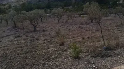 Terreno en venta en Biar - Vista 5