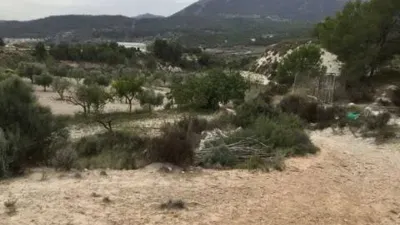 Terreno en venta en Tibi - Vista 4