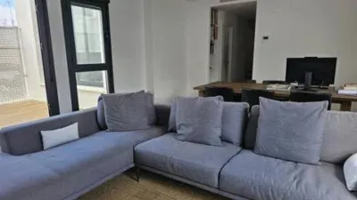 Penthouse in San Vicente photo 15