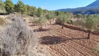 Terreno en venta en Tibi - Vista 3