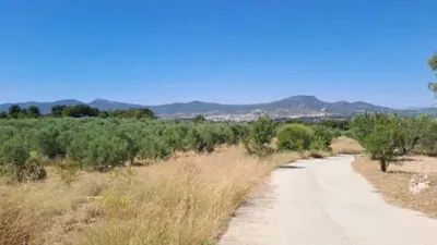 Terreno en venta en Onil - Vista 3