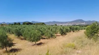 Terreno en venta en Onil - Más