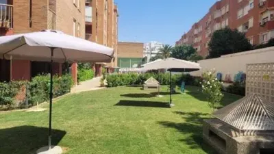 Apartment in La Florida-Huerta del Pilar photo 5