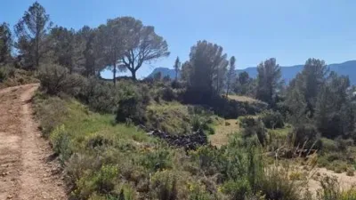 Piso – Tibi, l'Alcoià - Más