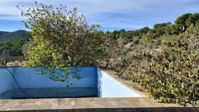 Terreno en venta en Tibi - Más