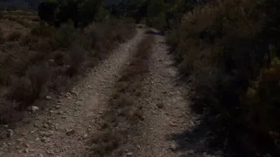 Terreno en venta en Tibi - Vista 2